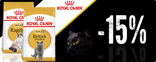 15% Rabatt auf Royal Canin Breed Katzenfutter